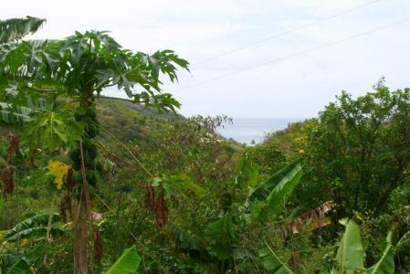 8.432 acres of land at Belfast Estate, Saint Paul, Dominica