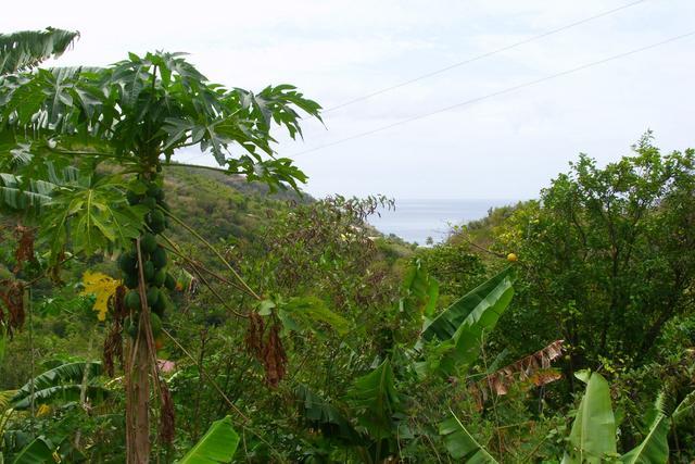 8.432 acres of land at Belfast Estate, Saint Paul, Dominica