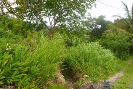 Portion of land at Laudat, Saint George, Dominica