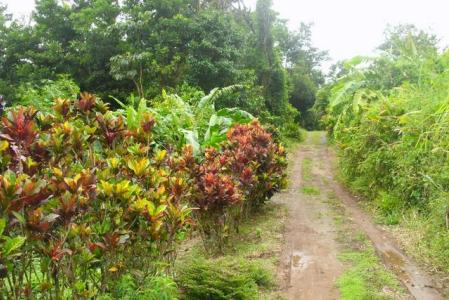 Land at Giraudel, Saint George, Dominica