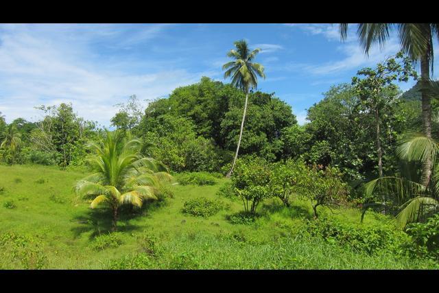 Bajo Gutter, 3 acres of land at Castle Bruce, Saint David, 도미니카