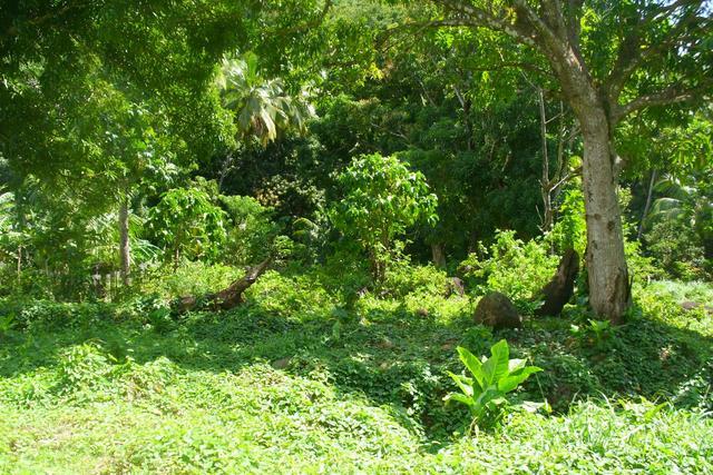 Gulliet, 11,280 sq ft of Land at Gulliet, Portsmouth, Saint John, Dominica