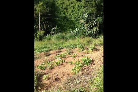 10,000 sq ft of land at Riviere la Croix, Saint Paul, Dominica