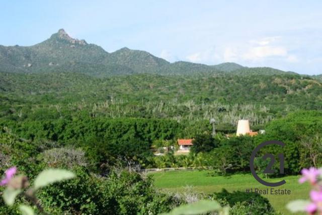 Hofi Mango, Banda Bou, Curaçao