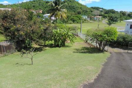 Silent Dove, Grand Anse, St.george's West Indies, Grenada