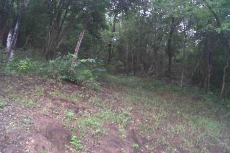 Content Estate, Saint Paul, Dominica