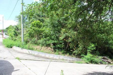 Jean Anglais Heights, Belmont (St.George), St.george's West Indies, Granada