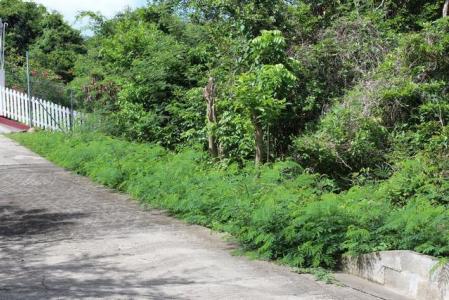 Jean Anglais Heights, Belmont (St.George), St.george's West Indies, Granada