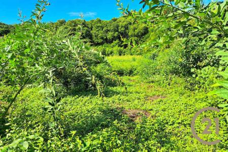 Lance Aux Epines - Lot No. 9, Lance Aux Epines, St.george's West Indies, גרנדה 