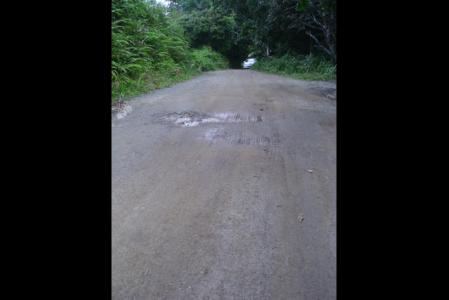 5.85  Acres of Land in the Bense Settlement, Saint Andrew, 도미니카