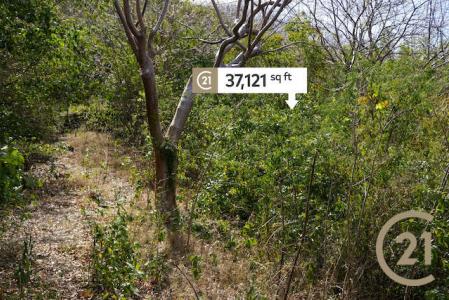 Ocean View, Grand Anse, St.george's West Indies, 그레나다