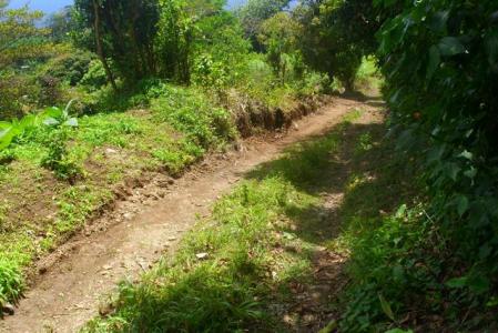 3,920 sq ft of land in Delices, Saint Patrick, Dominica