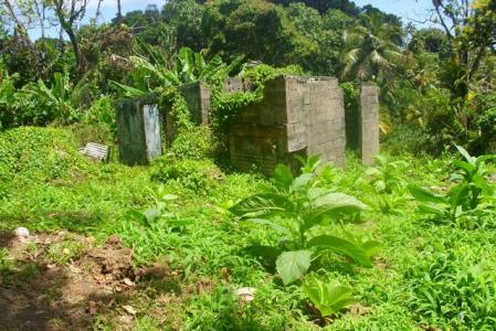3,920 sq ft of land in Delices, Saint Patrick, Dominica