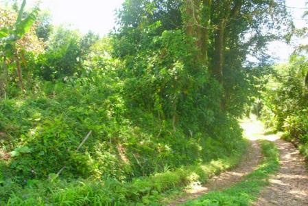 8,991 Square Feet of Land in Delices, Saint Patrick, Dominika