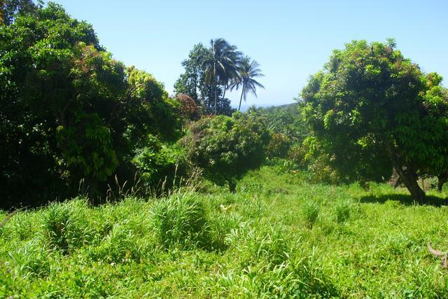 14,150 Square Feet of land in Warner, Saint Paul, Dominica