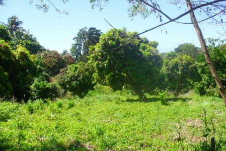 14,150 Square Feet of land in Warner, Saint Paul, Dominica