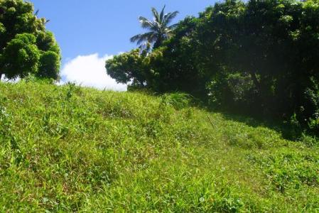 14,150 Square Feet of land in Warner, Saint Paul, Dominica