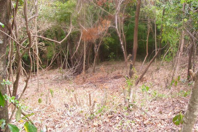 10,185 Sq. Ft. of land in Morne Daniel, Saint Paul, Dominica