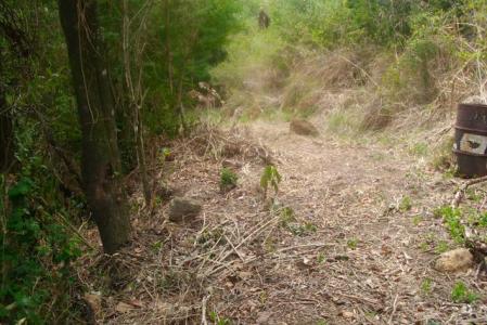 10,185 Sq. Ft. of land in Morne Daniel, Saint Paul, Dominica
