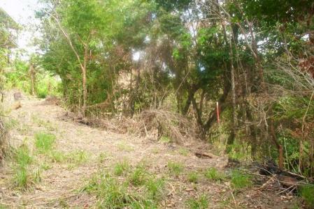 10,185 Sq. Ft. of land in Morne Daniel, Saint Paul, Dominica
