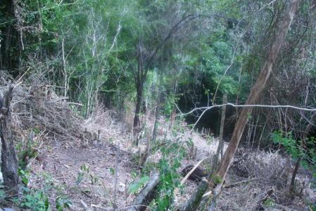 10,185 Sq. Ft. of land in Morne Daniel, Saint Paul, Dominica