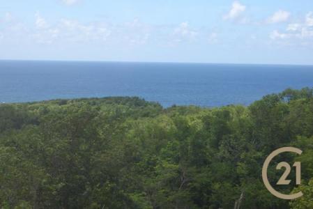 Pointe Marquis No. 1, Saint David's, St.david's West Indies, גרנדה 