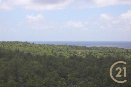 Pointe Marquis No. 1, Saint David's, St.david's West Indies, גרנדה 