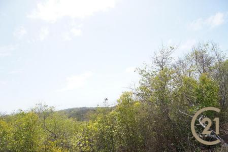 Pointe Marquis No. 1, Saint David's, St.david's West Indies, גרנדה 