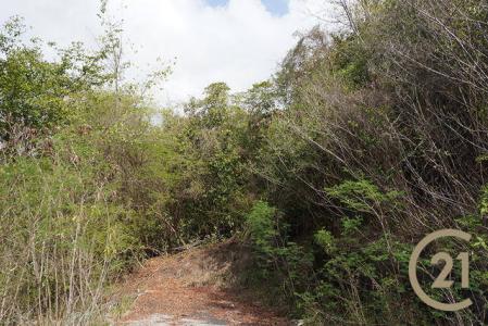 Pointe Marquis No. 2, Saint David's, St.david's West Indies, Grenada