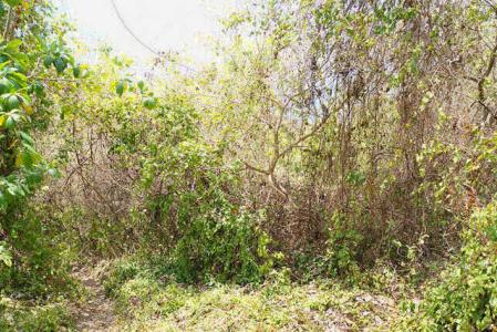 Marli Sea View, Marli, St.patrick's West Indies, Granada