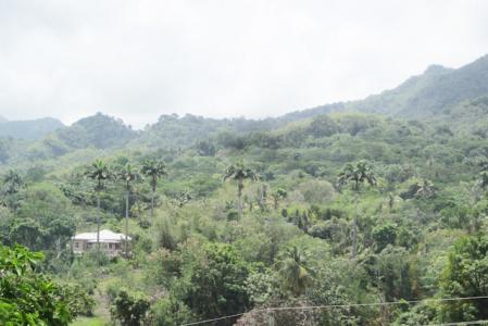 Cocoa, Gouyave, St.john's West Indies, Grenada