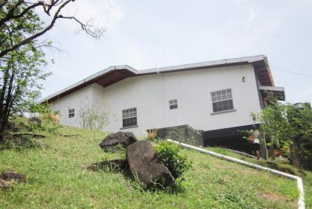 Cocoa, Gouyave, St.john's West Indies, Grenada