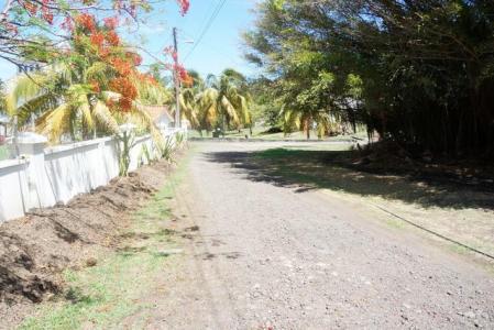 Turtle Back Drive, Lance Aux Epines, St.george's West Indies, גרנדה 