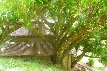 Property at Layou Park, Saint Joseph, Dominica