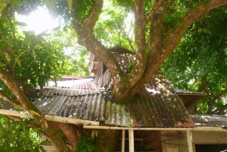 Property at Layou Park, Saint Joseph, Dominica