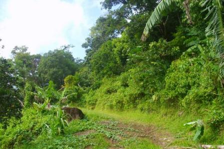 One Bedroom House With Land in Cochrane, Saint Paul, Dominica