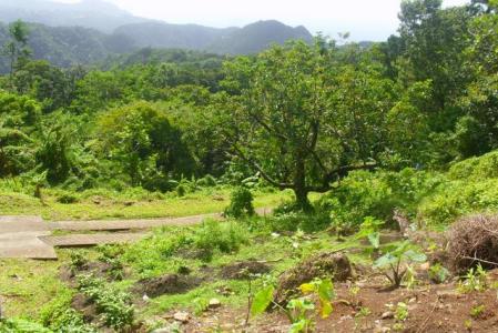 One Bedroom House With Land in Cochrane, Saint Paul, Dominica