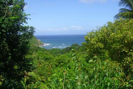 Hampstead, Three (3) Lots in Calibishie, Saint Andrew, Dominica