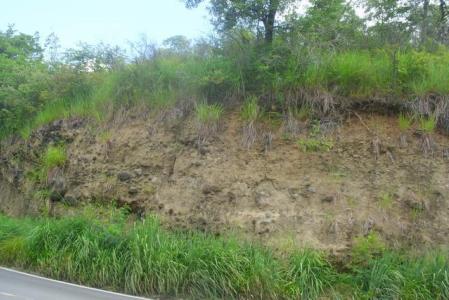 Hillborough Estate, 22,000 Square Feet of Land in St Joseph, Saint Joseph, Dominica