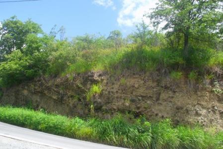 Hillborough Estate, 22,000 Square Feet of Land in St Joseph, Saint Joseph, Dominica