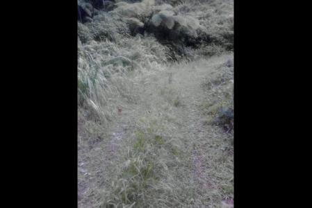 Vacant Land at Banana, Concord, Saint Andrew, Dominica