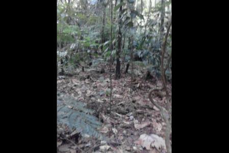 Vacant Land at Banana, Concord, Saint Andrew, Dominica