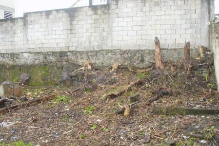 1,748 Square Feet of Land in King George V. Street, Saint George, Dominique