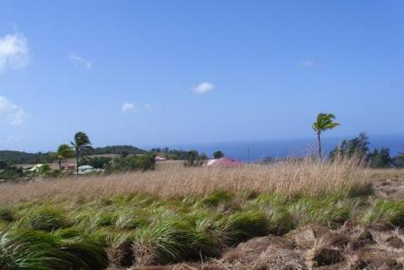 34,866 Square Feet of Vacant Land in Warner, Saint Paul, Dominica