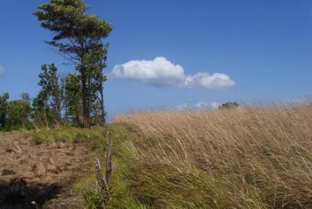 34,866 Square Feet of Vacant Land in Warner, Saint Paul, Dominica