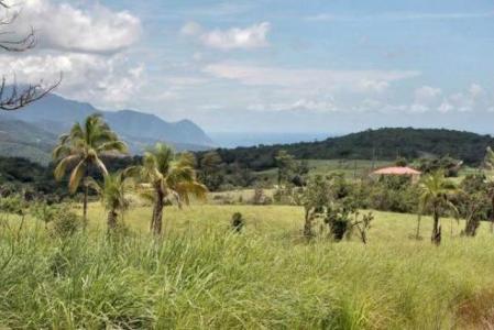 34,866 Square Feet of Vacant Land in Warner, Saint Paul, Dominica