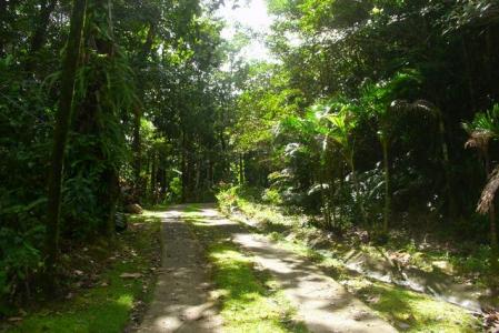 Bantridge, Pipirite Cottages, Saint Paul, Dominique