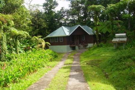 Bantridge, Pipirite Cottages, Saint Paul, Dominique