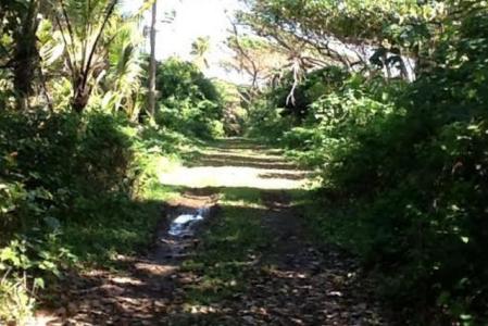25,000 Square Feet of Land in Wesley, Saint Andrew, Dominica
