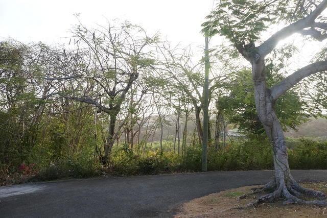 Westerhall Point - Lot No. 10, Westerhall Point, St.david's West Indies, Granada